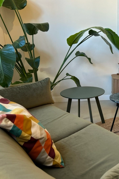 Website van Psychologiepraktijk De Meer, ontwikkeld in WordPress met Elementor, met een overzichtelijke indeling en een warme, ingetogen vormgeving passend bij een psychologiepraktijk.