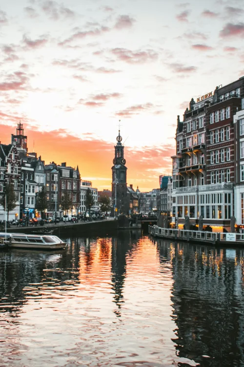 Website van Beaumont Communicatie & Management, ontwikkeld in WordPress en Elementor naar een ontwerp van Willy Sengers, met projecten en verhalen geordend per expertise.